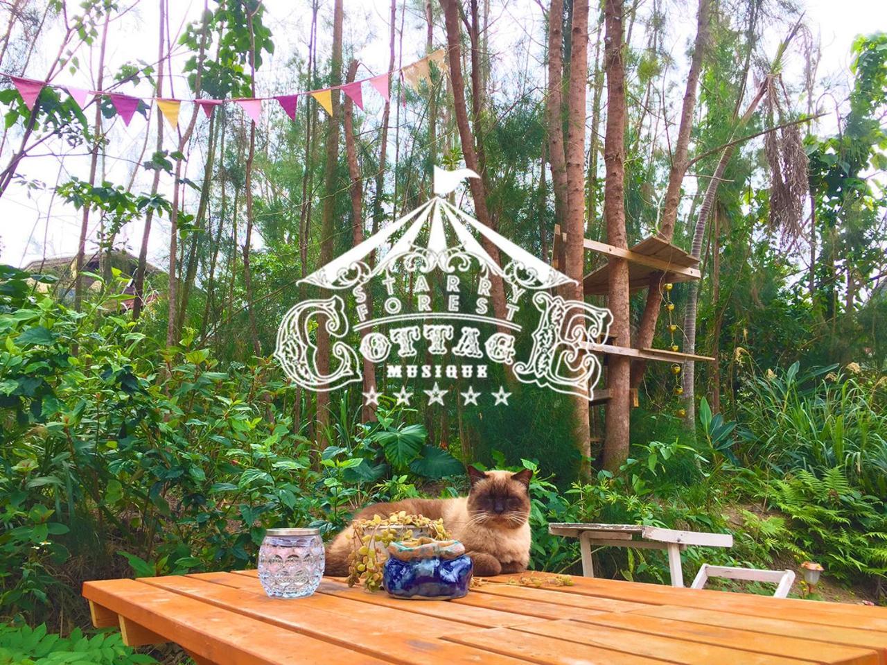 猫とピアノと星空のリゾートブティックコテージ - Starry Forest Cottage Okinawa - 恩纳 外观 照片
